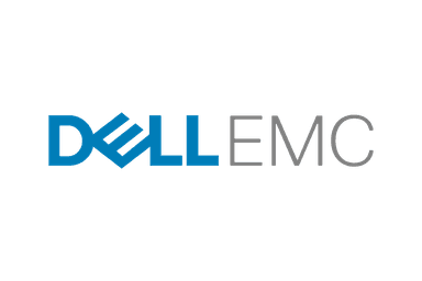 Dell technology partner